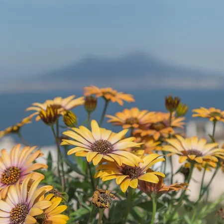 110° _ Sud Naples